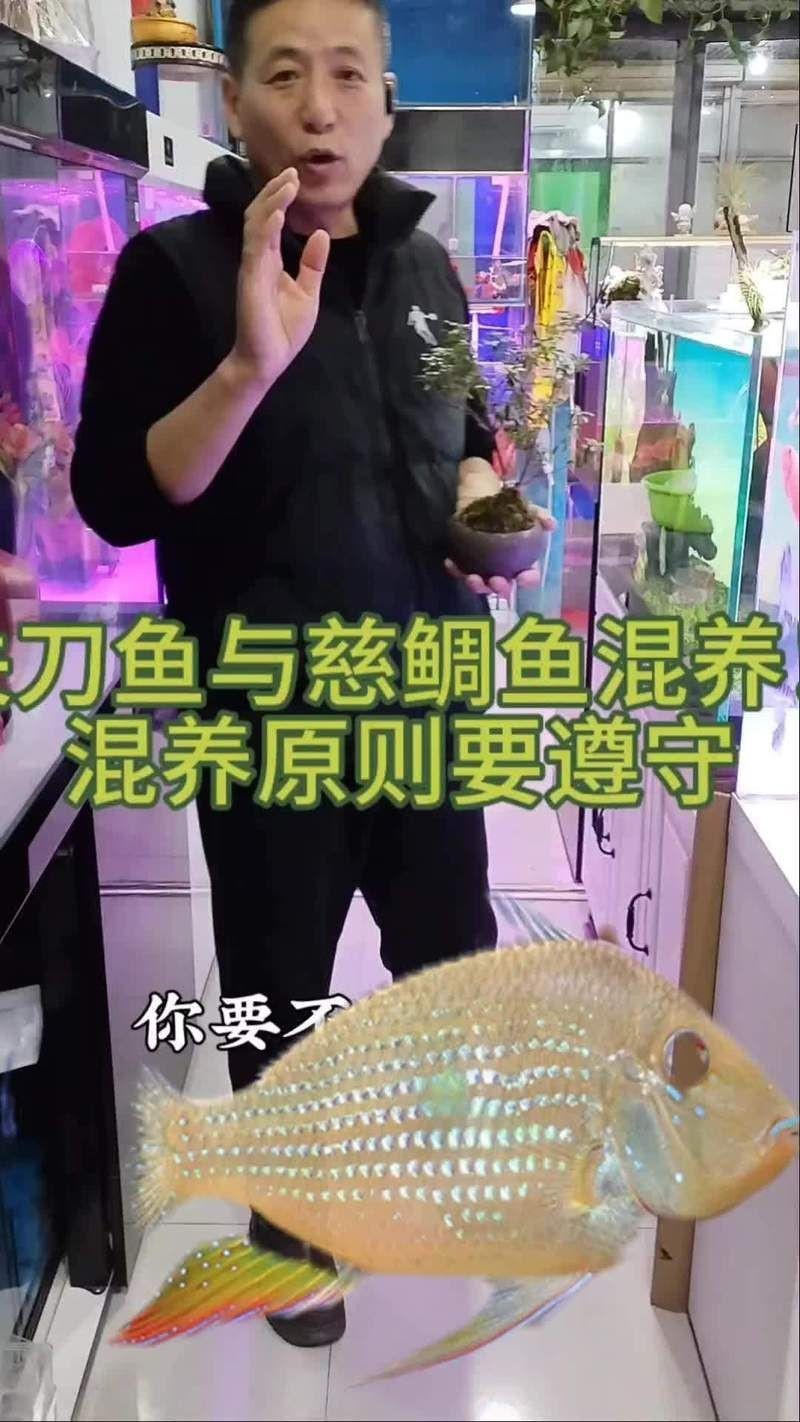 關刀魚會攻擊其他魚嗎，刀魚具攻擊性