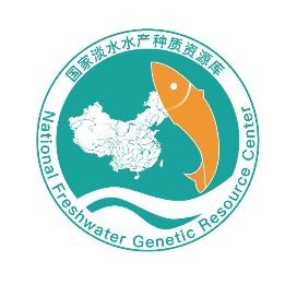 1000萬金龍魚圖片，你可以按需選擇，，突出震撼感，千萬級金龍魚絕美影像驚艷登場，簡潔直白型，1000萬金龍魚高清圖鑒，引發好奇式，探秘價值1000萬的金龍