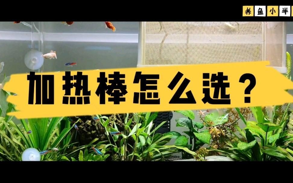 加熱棒PTC和石英哪個好，C與石英加熱棒 加熱棒PTC和石英哪個好，C與石英加熱棒 全國水族館企業名錄 第5張