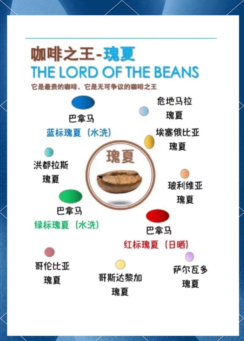 咖啡中的愛馬仕，你可以按需選擇，，奢味咖啡·愛馬仕風韻，咖啡界愛馬仕，臻享格調！，邂逅咖啡中的愛馬仕雅