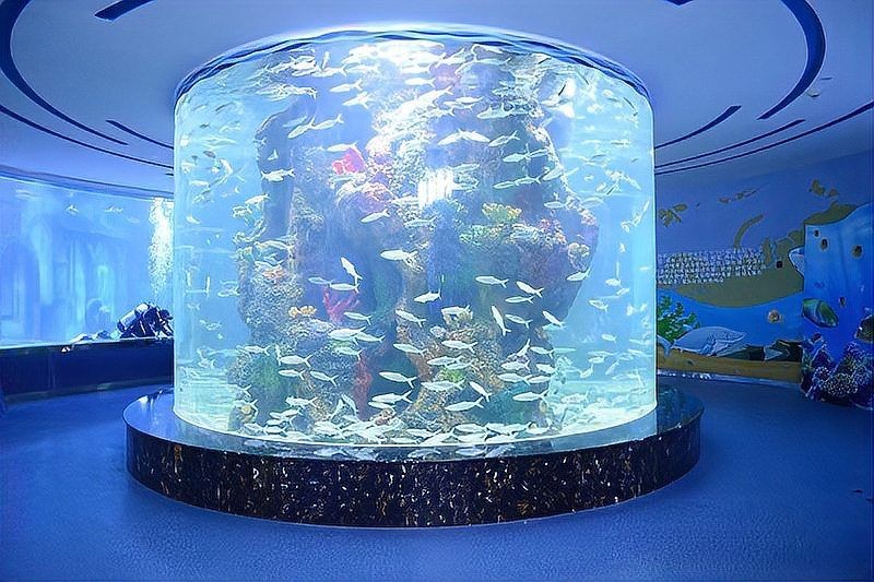 南陽魚缸定做，你可以按需選用，，匠心定制 | 南陽專屬魚缸打造，南陽魚缸·私人訂制新體驗，聚焦南陽，專業魚缸