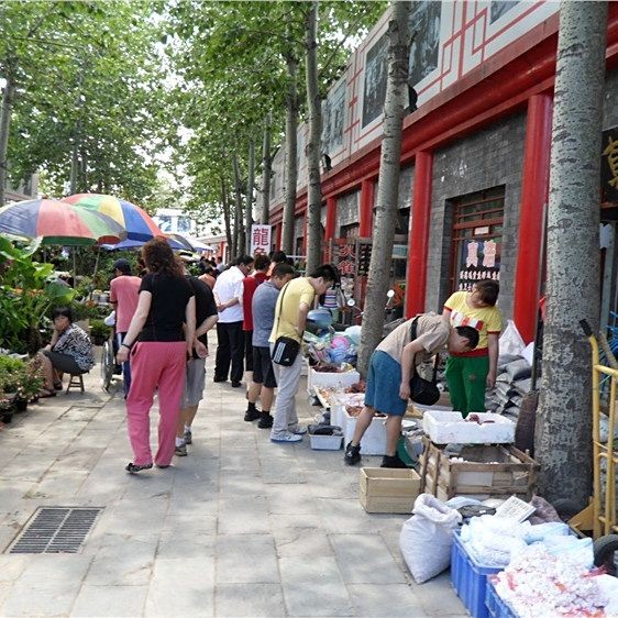 北京水族批發市場，幾種不同風格的一句短標題供你參考，，京韻水族，批發盛地，北京水族，批零集萃，京埠水族，批銷