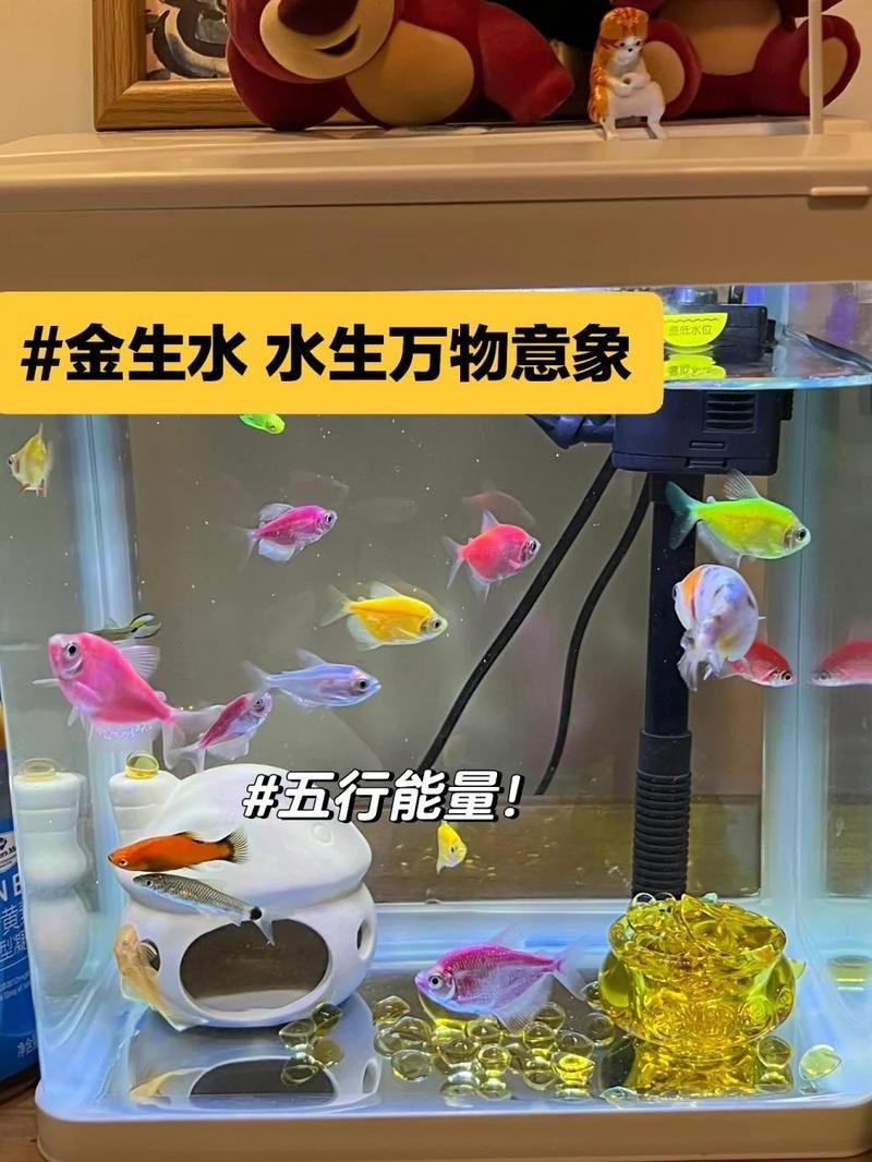 北京魚缸店，幾種不同風格的1句短標題示例，你可以按需選擇，，趣味風，??北京超酷魚缸店來襲！，直白風，北京專業魚缸店在此，文藝風，北京