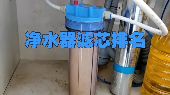 凈水濾芯品牌十大排名，你可以按需選擇，，直白型，凈水濾芯十大品牌排行揭曉，吸睛型，速看！凈水濾芯品牌TOP10榜單，專業型，權威發布，凈水濾芯