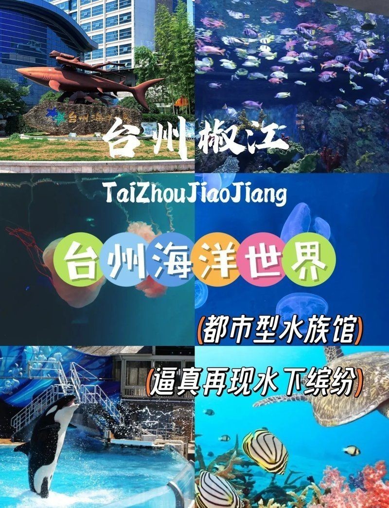 臺州水族店，靈動臺州·水族綺夢坊，臺州妙趣水族天地，臺州臻品水族