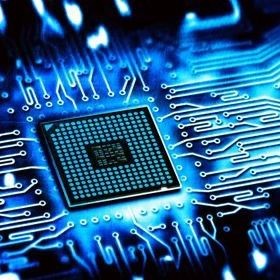 買龍龜的十大忠告，龜選購