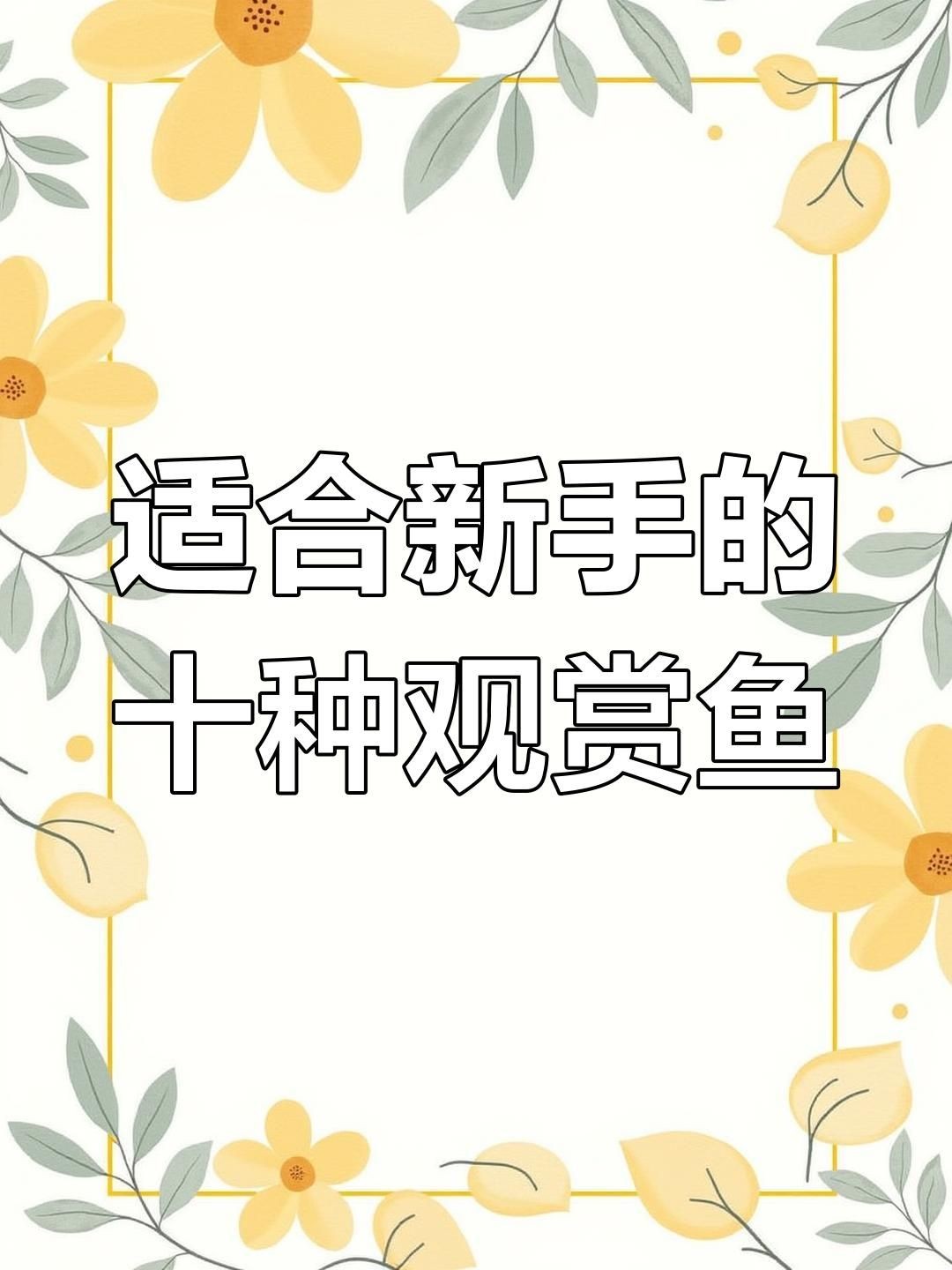 新手養(yǎng)什么魚好看又好養(yǎng)，幾種不同風格的簡短標題供你參考，，新手優(yōu)選，美觀易養(yǎng)魚類推薦，新手養(yǎng)魚之選，好看又好養(yǎng)！，新手友好！高顏值易養(yǎng)魚