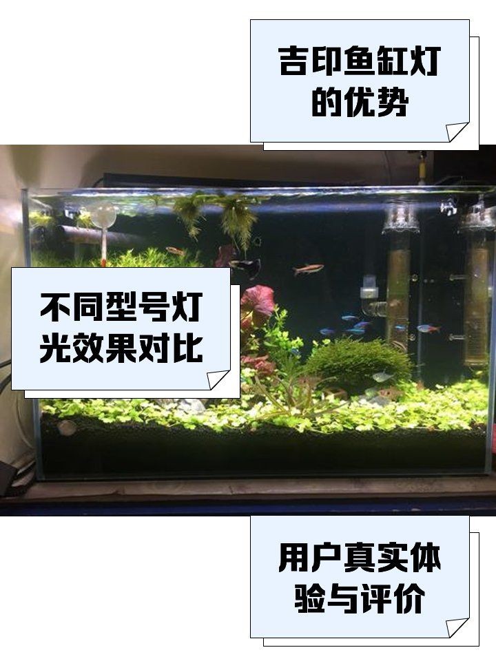 吉印led最建議買的三個燈，印LED精選三款必買好燈 吉印led最建議買的三個燈，印LED精選三款必買好燈 全國水族館企業名錄 第1張