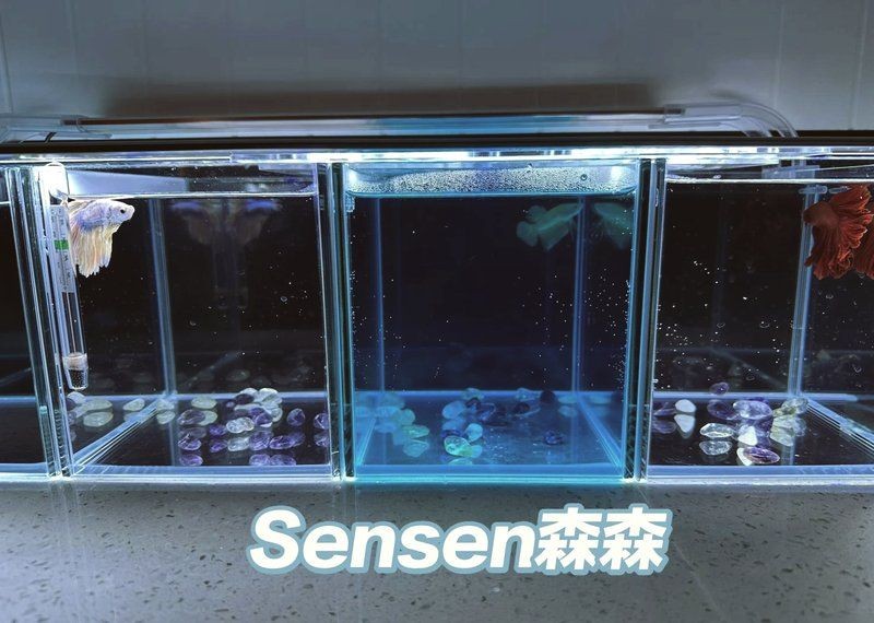 吉印led最建議買的三個燈，印LED精選三款必買好燈 吉印led最建議買的三個燈，印LED精選三款必買好燈 全國水族館企業名錄 第3張