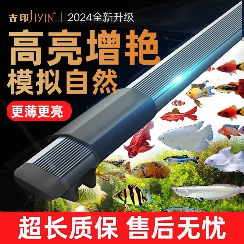 吉印燈可以養(yǎng)水草嗎，印燈能否助力水