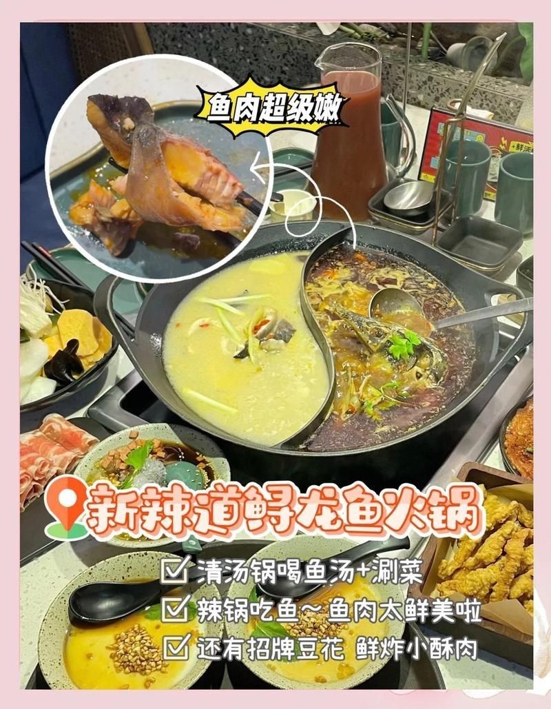 保定龍魚店,幾個不同風格的簡短標題供你參考,,保定·龍魚臻選店,保定龍魚精品鋪,保定龍 全國水族館企業名錄 第3張 保定龍魚店,幾個不同風格的簡短標題供你參考,,保定·龍魚臻選店,保定龍魚精品鋪,保定龍 保定龍魚店,幾個不同風格的簡短標題供你參考,,保定·龍魚臻選店,保定龍魚精品鋪,保定龍 全國水族館企業名錄 第3張