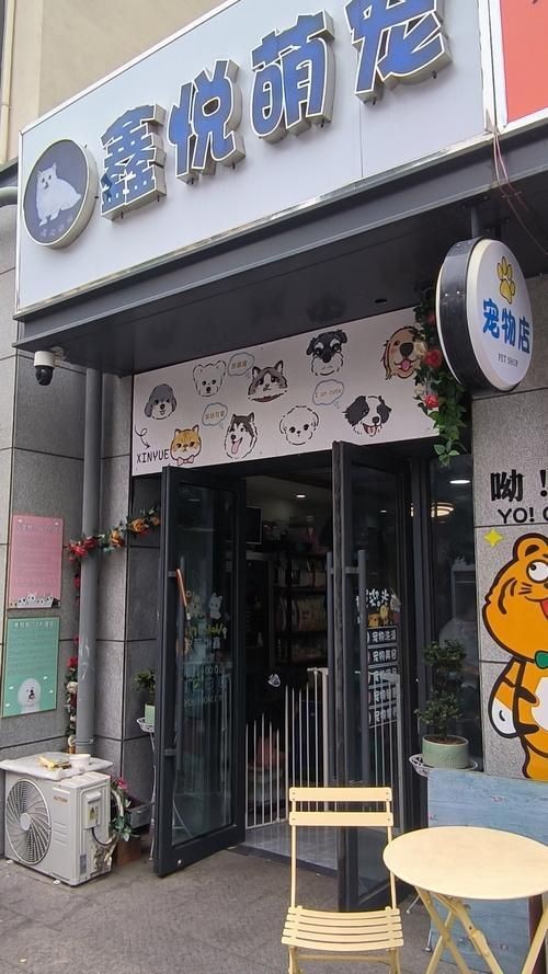 開寵物店10大忠告，你可以按需選擇，，萌寵店經營十大錦囊，寵物店運營十誡箴言，開寵店必知