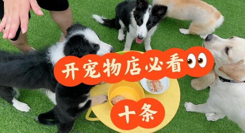 開寵物店10大忠告，你可以按需選擇，，萌寵店經營十大錦囊，寵物店運營十誡箴言，開寵店必知