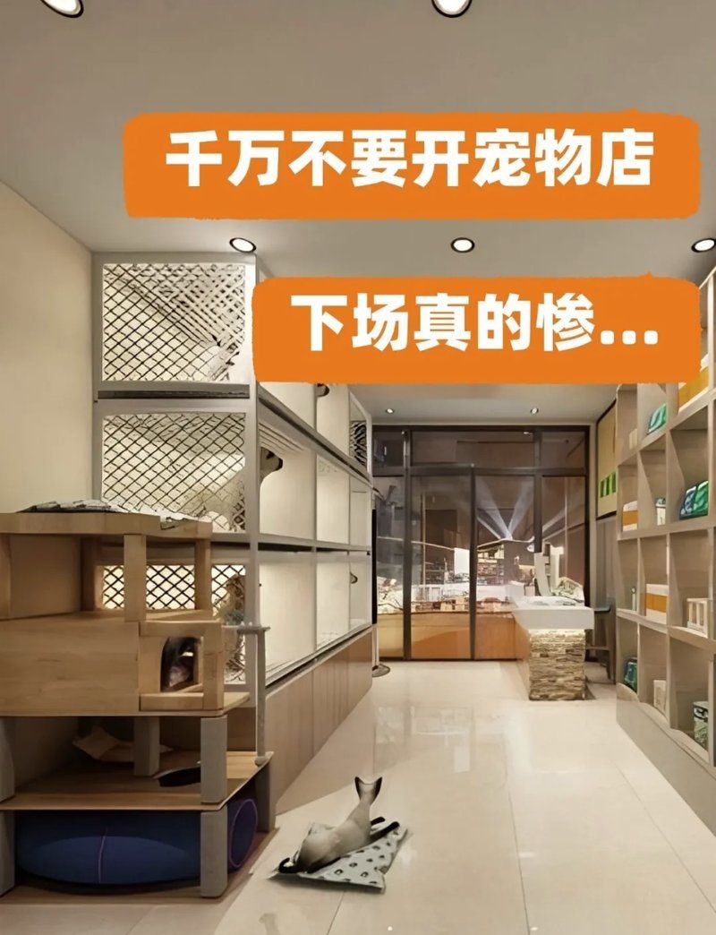 開寵物店10大忠告，你可以按需選擇，，萌寵店經營十大錦囊，寵物店運營十誡箴言，開寵店必知