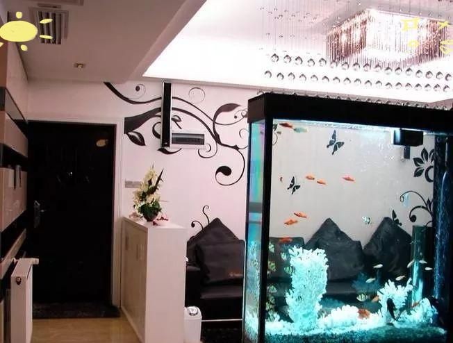 家中養魚6大風水禁忌，幾種不同風格的簡短標題供你參考，，養魚風水六忌，家養魚的6大忌