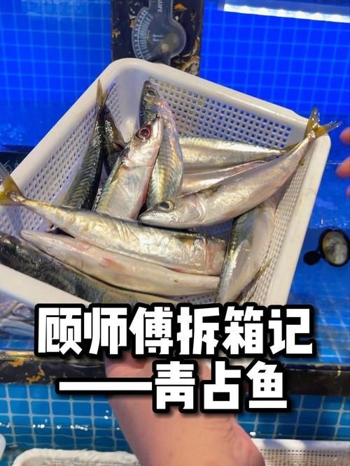 和刀魚相似的魚圖片，似刀魚的魚類