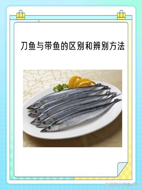 和刀魚相似的魚圖片，似刀魚的魚類