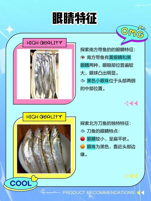 和刀魚相似的魚圖片，似刀魚的魚類