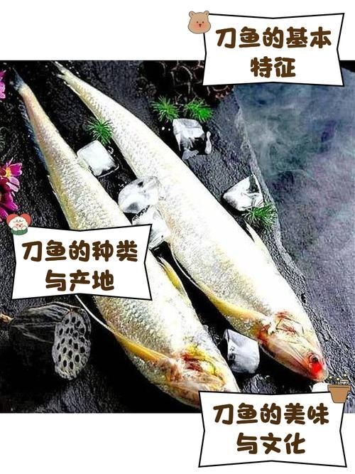 和刀魚相似的魚圖片，似刀魚的魚類