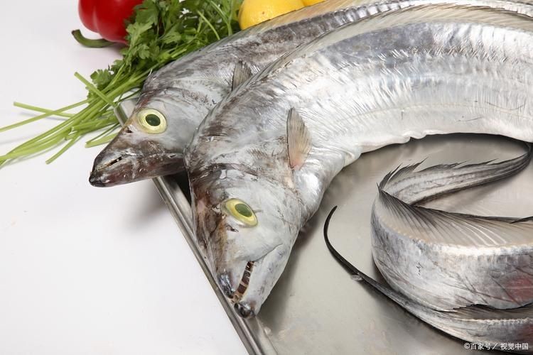 和刀魚相似的魚圖片，似刀魚的魚類
