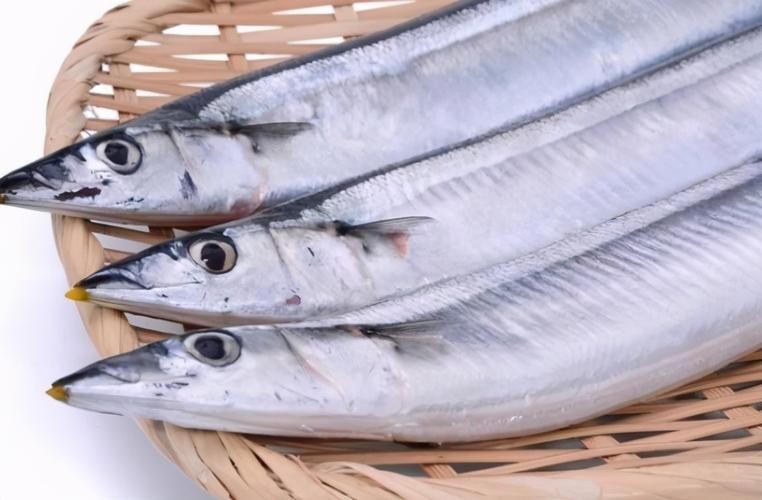 和刀魚相似的魚圖片，似刀魚的魚類