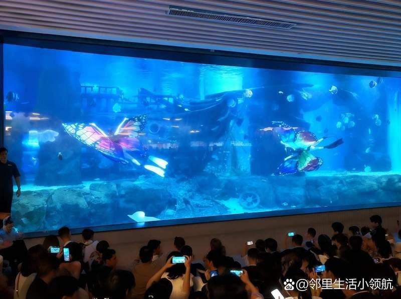 吉安水族店，幾種不同風格的1句短標題示例供你參考，，突出特色型，吉安寶藏水族店，簡潔直白型，吉安人氣水族店，活潑吸睛型，嗨玩吉安