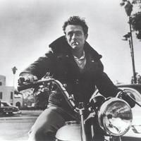 關刀魚混養最佳搭配，刀魚理想混養