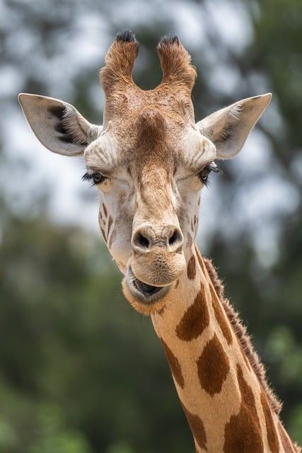 上饒魚缸定做，供你參考，，上饒定制魚缸，上饒魚缸訂制，上饒專屬