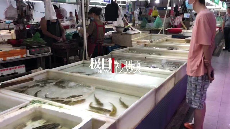 今日淡水魚價全國一覽表，淡水魚價今日行情