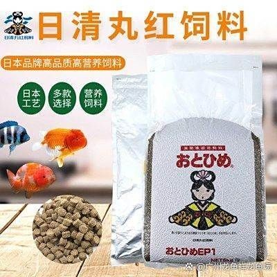 40公分過背金龍魚價格，你可以按需選擇，，直白型，40公分過背金龍魚售價揭秘，疑問型，40公分過背金龍魚啥價？，吸睛型，驚！40公分過背金龍 40公分過背金龍魚價格，你可以按需選擇，，直白型，40公分過背金龍魚售價揭秘，疑問型，40公分過背金龍魚啥價？，吸睛型，驚！40公分過背金龍 龍魚百科 第13張