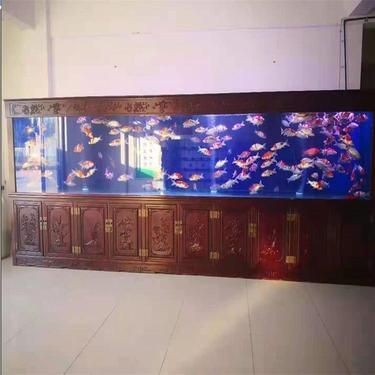 北海魚(yú)缸批發(fā)市場(chǎng)，直白型，北海優(yōu)質(zhì)魚(yú)缸批發(fā)地，吸睛型，探秘北海魚(yú)缸批發(fā)寶藏地，實(shí)用型，北海一站式魚(yú)缸批發(fā)
