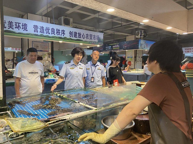 北海魚(yú)缸批發(fā)市場(chǎng)，直白型，北海優(yōu)質(zhì)魚(yú)缸批發(fā)地，吸睛型，探秘北海魚(yú)缸批發(fā)寶藏地，實(shí)用型，北海一站式魚(yú)缸批發(fā)