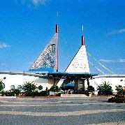 養(yǎng)一條銀龍魚代表什么，龍魚，寓意與