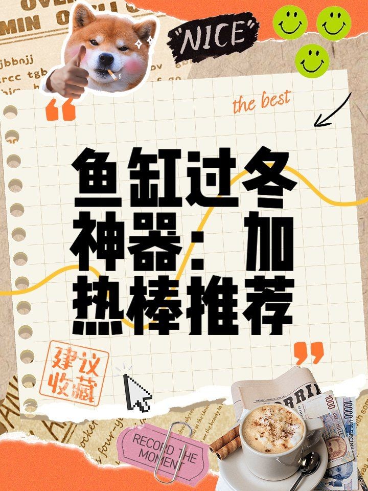 光特億智能插排怎么樣，你可以按需選擇，，測評向，光特億智能插排實測表現如何？，疑問式，光特億智能插排究竟咋樣？，直白風，探秘光特