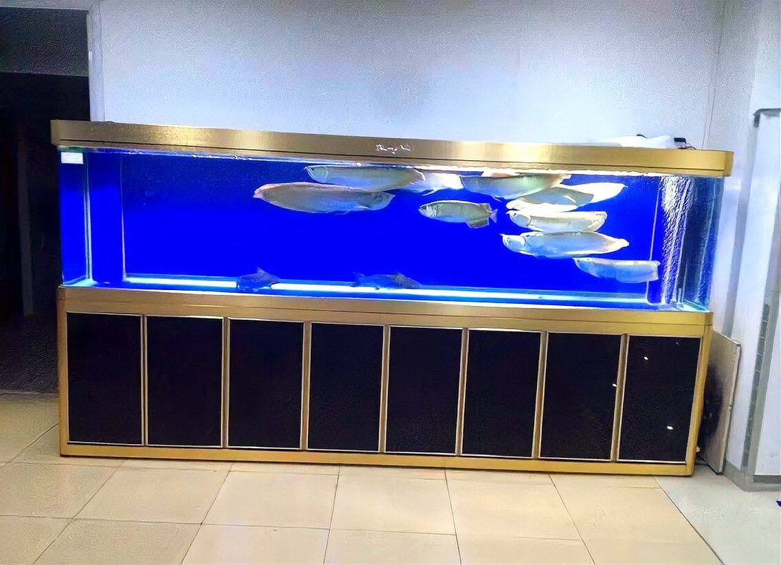 1米5的魚缸壓塌樓板了，驚險！1米5魚缸壓塌樓板，禍起魚缸！1米5大缸塌穿樓板，駭人！1米5魚缸