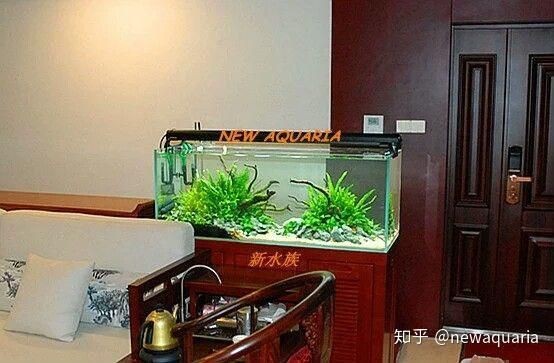 1米5的魚缸壓塌樓板了，驚險！1米5魚缸壓塌樓板，禍起魚缸！1米5大缸塌穿樓板，駭人！1米5魚缸