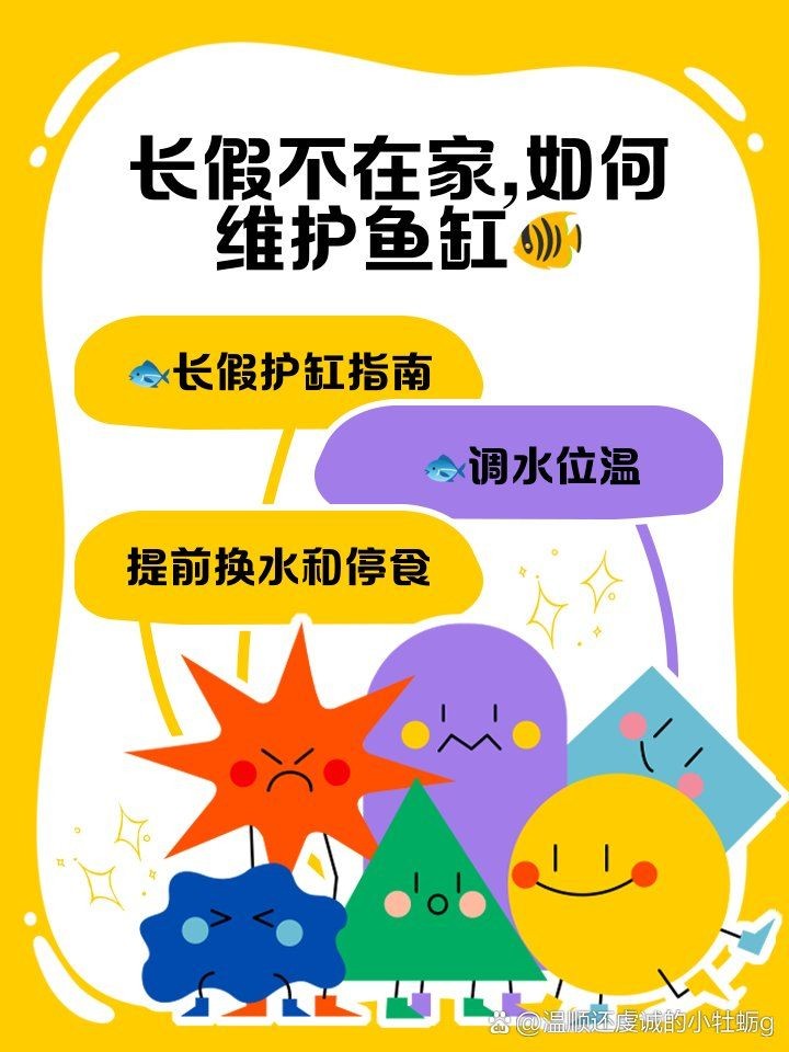興安盟魚缸維護，你可以按需選擇，，興安盟專業魚缸養護服務，聚焦興安盟魚缸精心維護，興安盟一站式魚缸