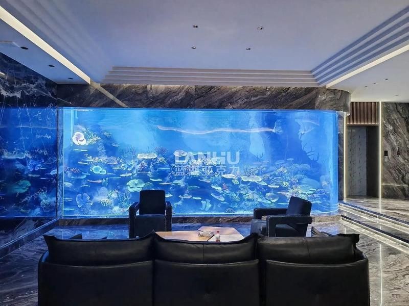 南充魚缸維護，幾種不同風格的短標題示例，你可以按需選擇，，南充專業魚缸養護服務，南充精研魚缸維護之道