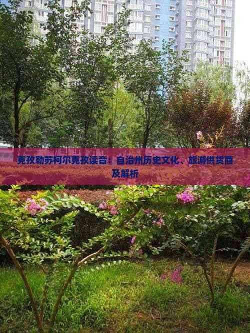 克孜勒蘇柯爾克孜自治州魚缸批發市場，直白型，克州魚缸批發大市場，突出特色型，克孜勒蘇柯爾克孜自治州專營魚缸批發地，吸睛型，探秘克孜勒蘇柯爾克孜自治