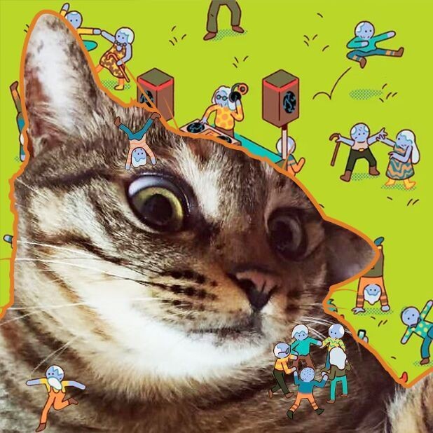 巨骨舌魚有多兇猛,你可以按需選擇,,探秘巨骨舌魚之兇猛!,驚!巨骨舌魚竟這般兇猛,聚焦,巨骨舌魚的兇猛