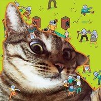 巨骨舌魚有多兇猛,你可以按需選擇,,探秘巨骨舌魚之兇猛!,驚!巨骨舌魚竟這般兇猛,聚焦,巨骨舌魚的兇猛