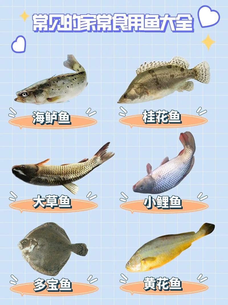 各種常見魚的辨認圖，魚類辨識