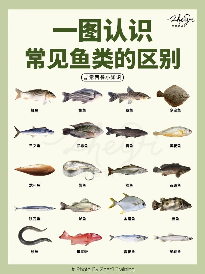 各種常見魚的辨認圖，魚類辨識