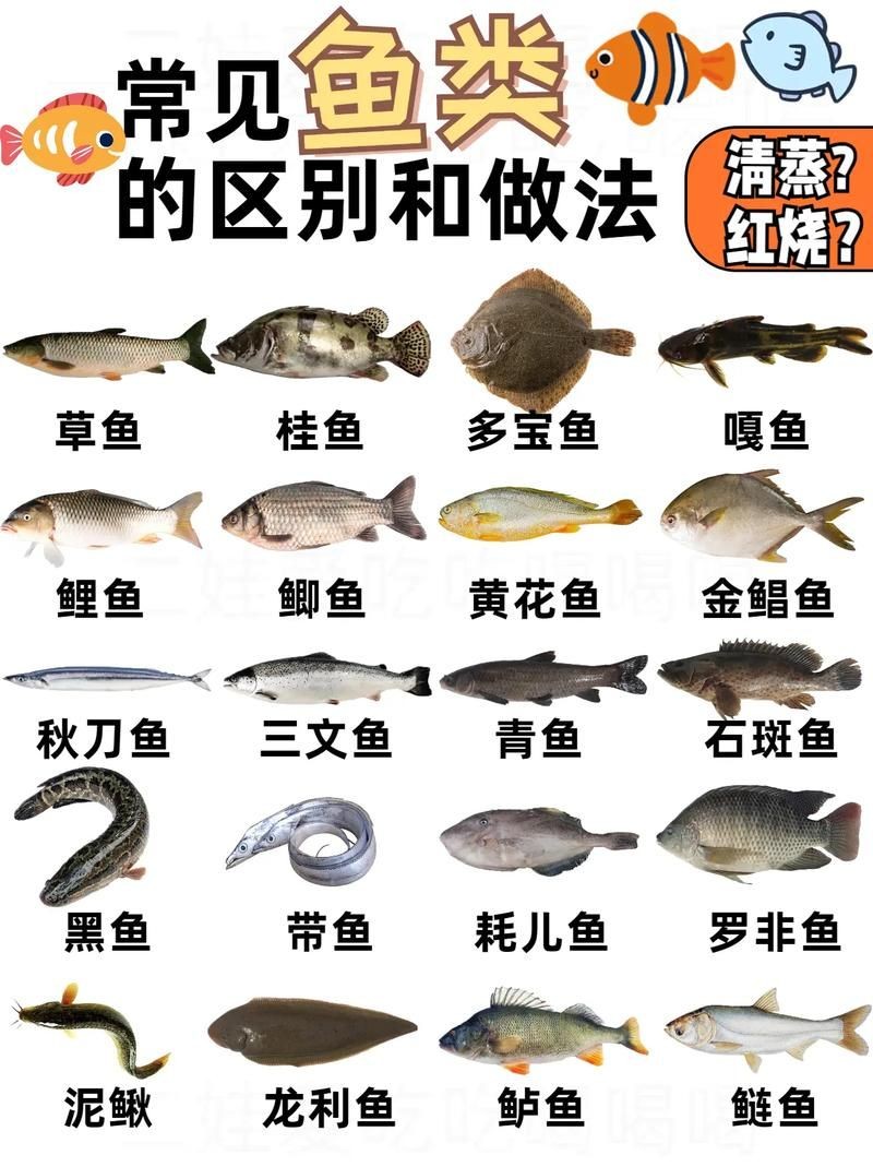各種常見魚的辨認圖，魚類辨識