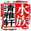 號半龍魚價格，你可以按需選用，，平價驚喜！號半龍魚價格揭秘，速看！號半龍魚當下價格行情，聚焦，號半龍魚最新價格
