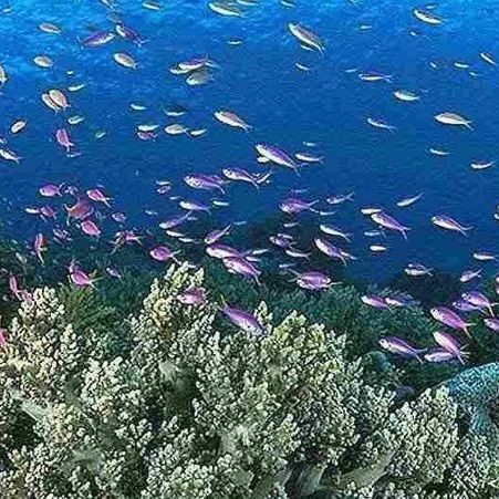 北海水族店