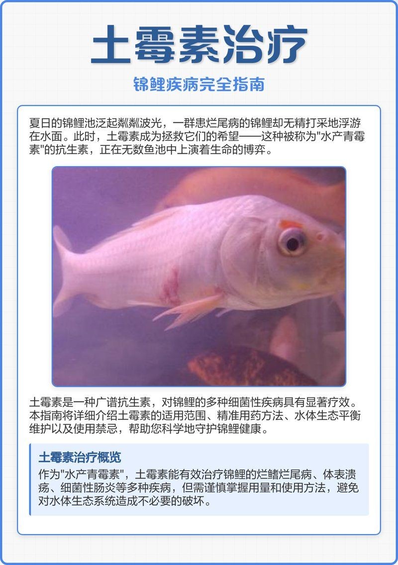 土霉素治療魚什么病