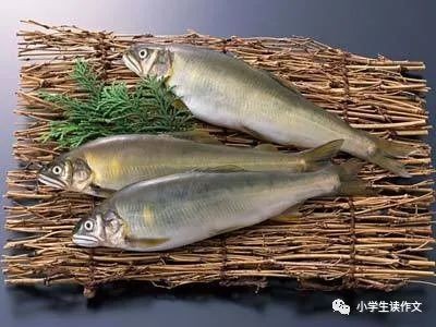 云浮魚缸店