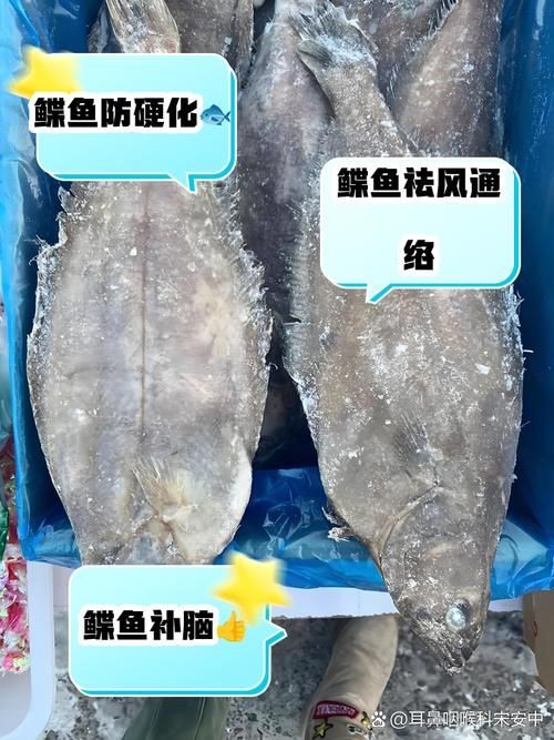 假鰈魚和真鰈魚圖片