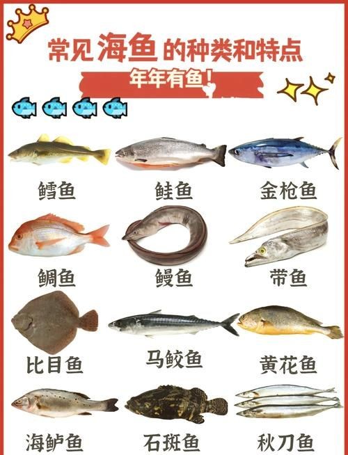 假鰈魚和真鰈魚圖片